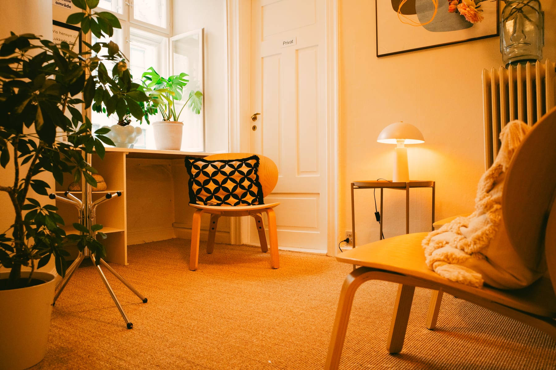 Et lyst hjørne af klinikken med en stor plante, et skrivebord og en lænestol med et tæppe